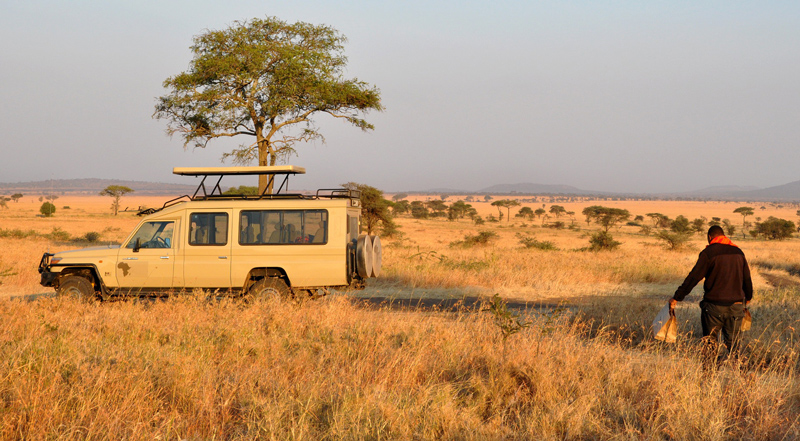 How much does it cost to go on safari Tanzania