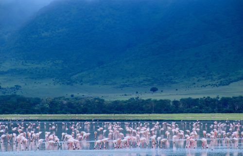 Ngorongoro Crater Area