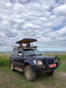 Standard Land Cruiser