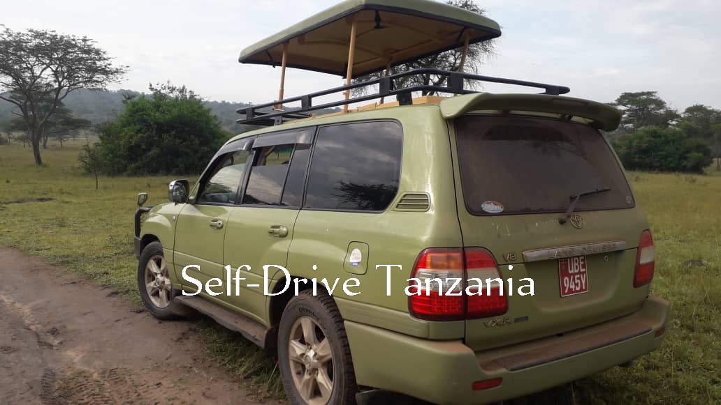 Self Drive Tanzania