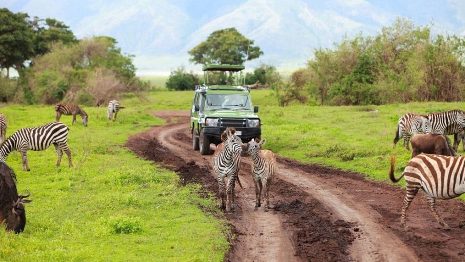 Self guided game drive safari Tanzania